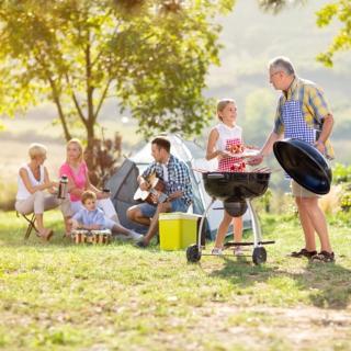 The family picnic