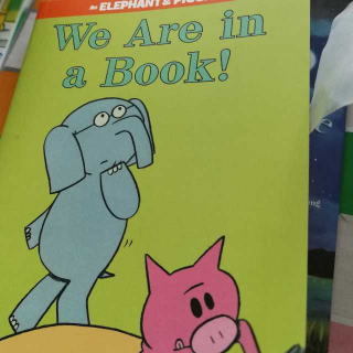 we  are in  a book