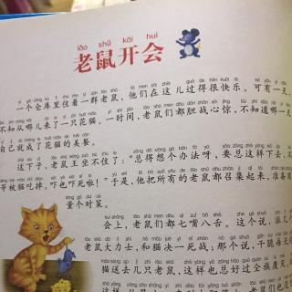 小米妈妈讲故事——老鼠开会