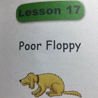 Poor Floppy