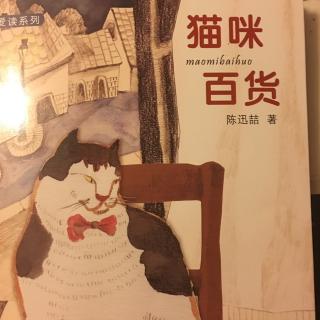老猫讲故事-猫咪百货6