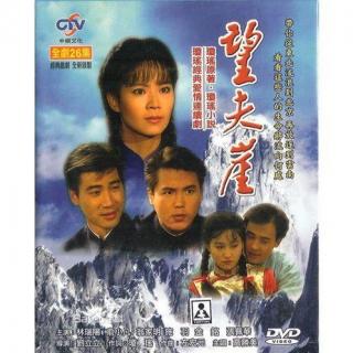 151-93年《wang fu ya》主题曲