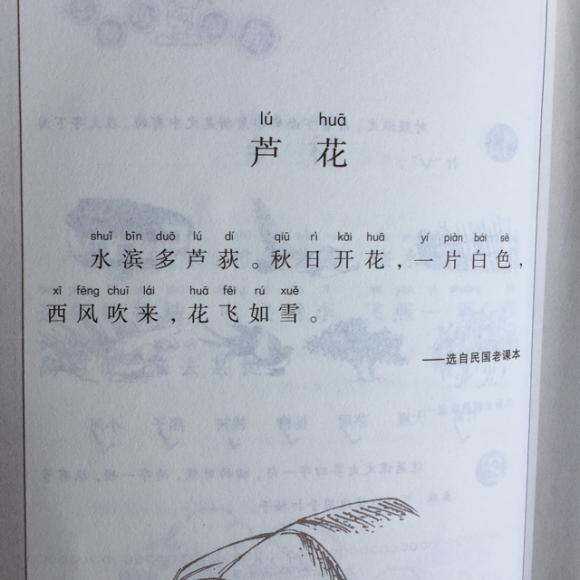 芦花小古文诗配画图片