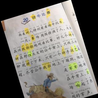 《骑牛比赛》