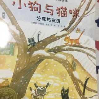 小熊晚安故事| No.18 小狗和猫咪
