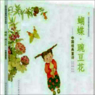 杨杨读《蝴蝶·豌豆花》：如果我是一片雪花（金波）