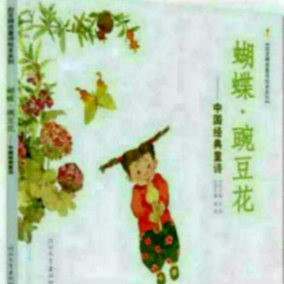 杨杨读《蝴蝶·豌豆花》：安慰（顾城）