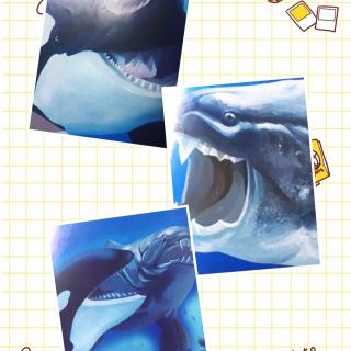 虎鲸   🆚   邓氏鱼