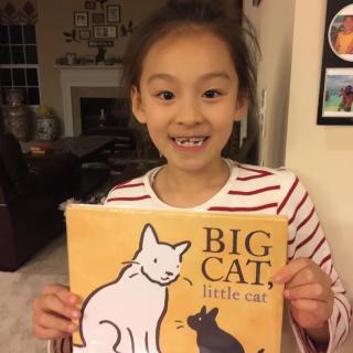 Joy美国儿童双语故事16: Big Cat; Little Cat