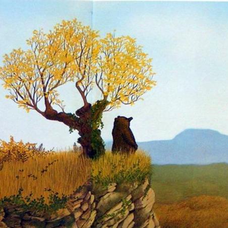 森林大熊丨听故事,学道理,画创意