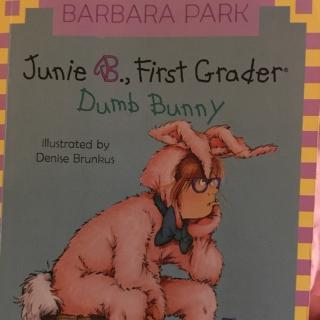 Junie B., Frisr Grader Dumb Bunny1(2017-6-4)
