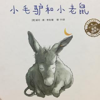 七田阳光sunny 小毛驴和小老鼠