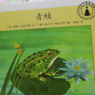 小小自然图书馆系列青蛙🐸