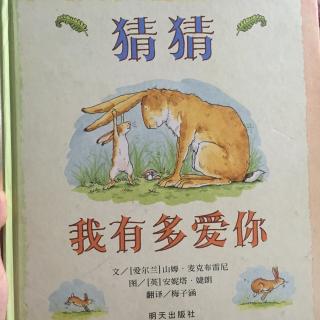 猜猜我有多爱你