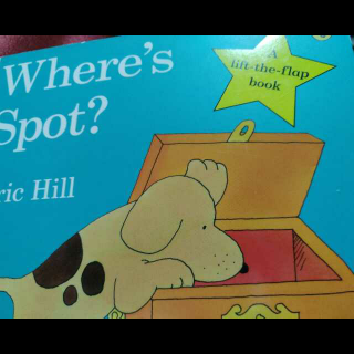 where is spot？