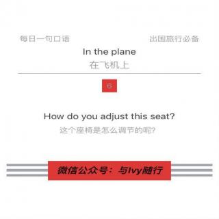 旅行英语 Day271：How do you adjust this seat?
