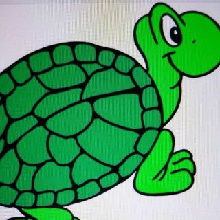绿乌龟的梦想