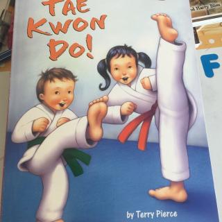 tae kwon do 球