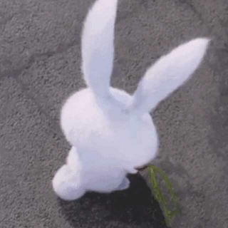 小白兔的故事【一】