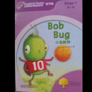 Bob bug小虫鲍勃