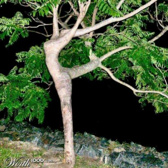 【鱼医生9599697115】在线收听_雯m62m62m_荔枝fm