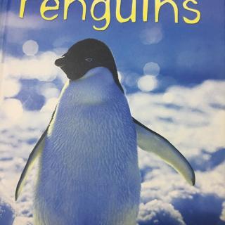 Penguins