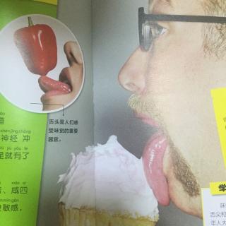 舌头为什么能辨别味道