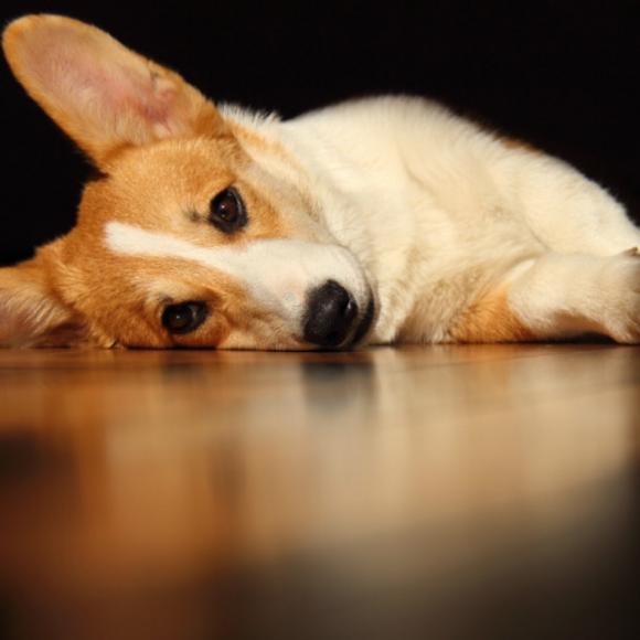 让我感激你,赠我空欢喜