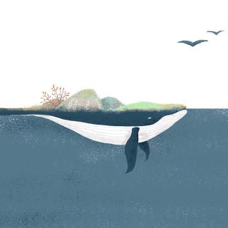 夜.曲：化身孤岛的鲸