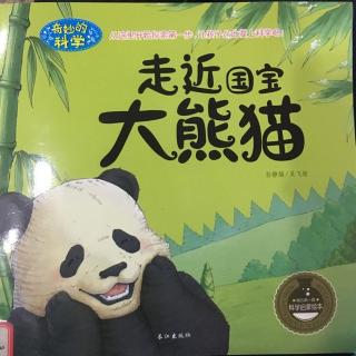 走近国宝大熊猫