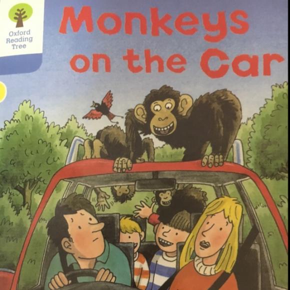 monkeys on the car