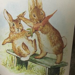 一只坏兔子的故事（彼得兔经典故事集）