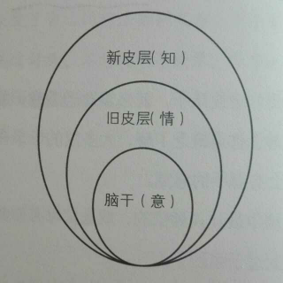 如何培养才能使孩子充满干劲儿