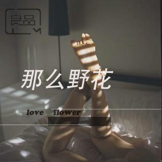 【原创自写】不是孤独只是适合一个人