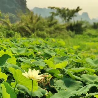 2017.06.04 顺德电台 同一星空下