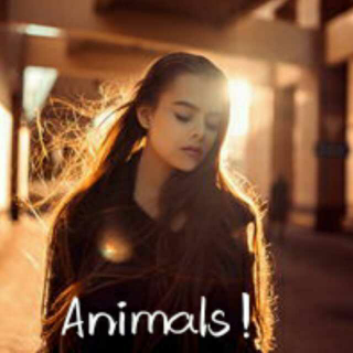 Animals!