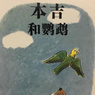 睡前故事213-《本吉和鹦鹉》