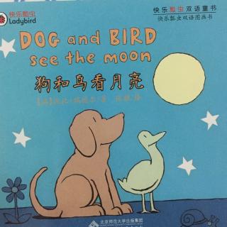 【乐乐读英文绘本】Dog and bird see the moon