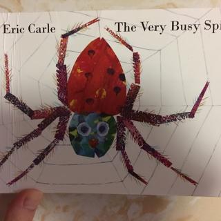 The Very Busy Spider～ 非常忙碌的小蜘蛛（双语朗读绘本）