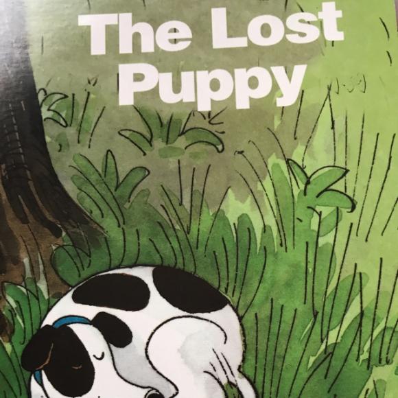 20170608小田儿读英语 牛津树绘本2——8the lost puppy