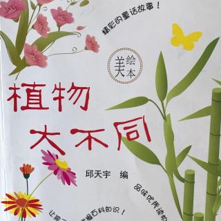 《小种子长大了》