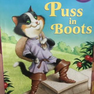 puss in boots