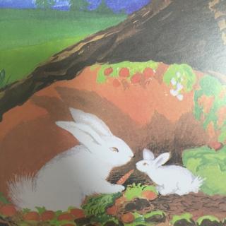 English story-The runaway bunny