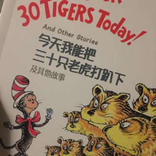 今天我能把三十只老虎打趴下及其它故事