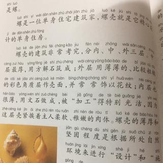 “建筑奇才”-螺