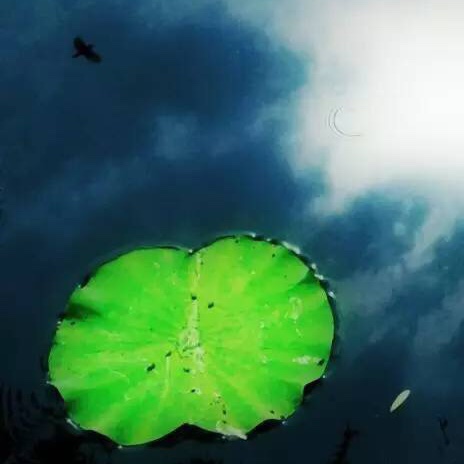 00:00 00:00  191   莫忧思,莫大怒,莫悲愁,莫大惧,莫跳踉,莫大笑,勿