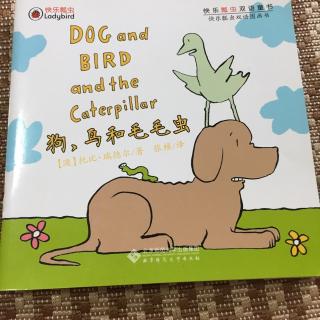 【乐乐读英文绘本】Dog and  bird and the caterpillar