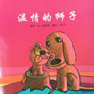 173绘本故事:温情的狮子🦁️