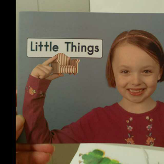 Little things