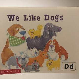【字母D】We Like Dogs